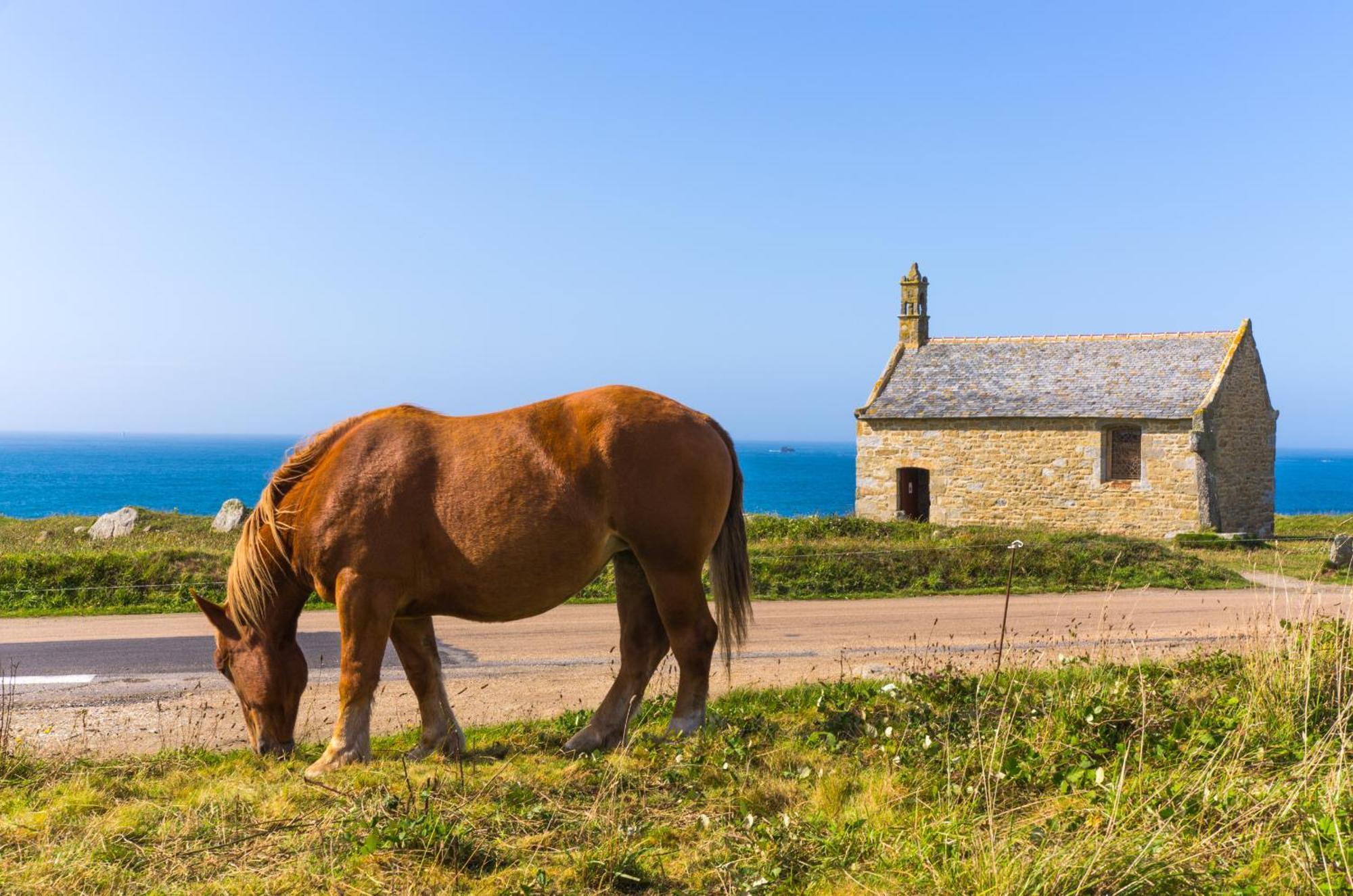 Gwel Ar Mor - Jolie Maison De Charme Renovee Proche Du Port Lanildut Dış mekan fotoğraf
